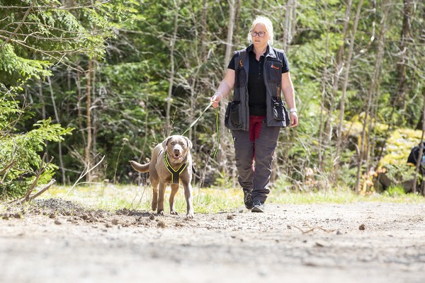 Cora beim Mantrailing