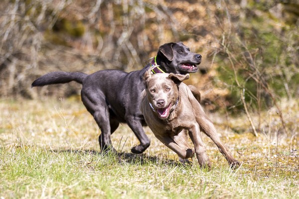 Cora und Maggy